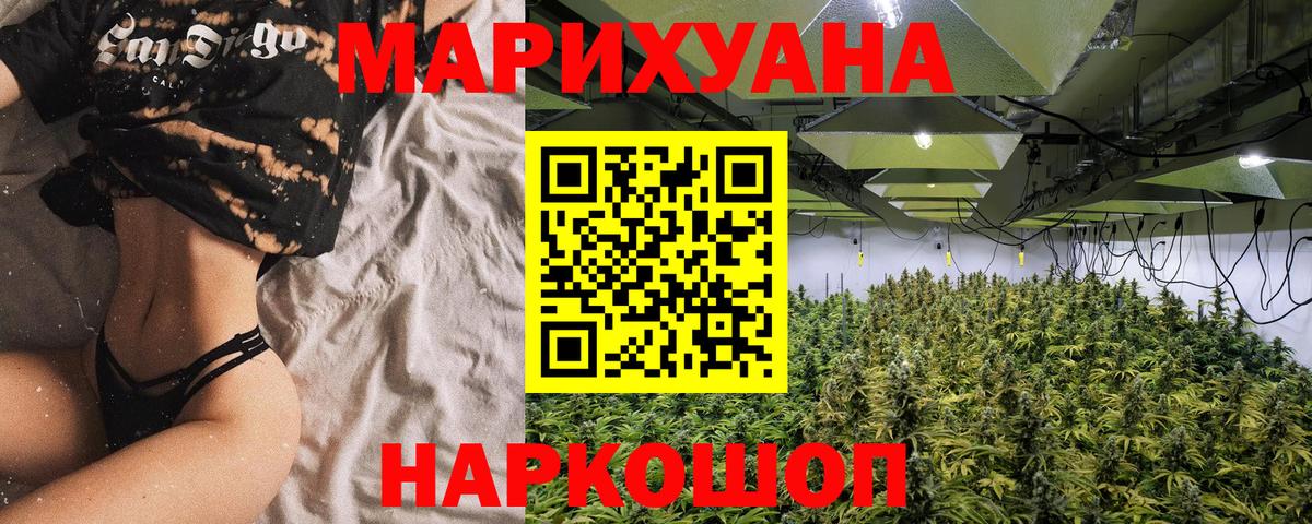 Канабис семена Аксай